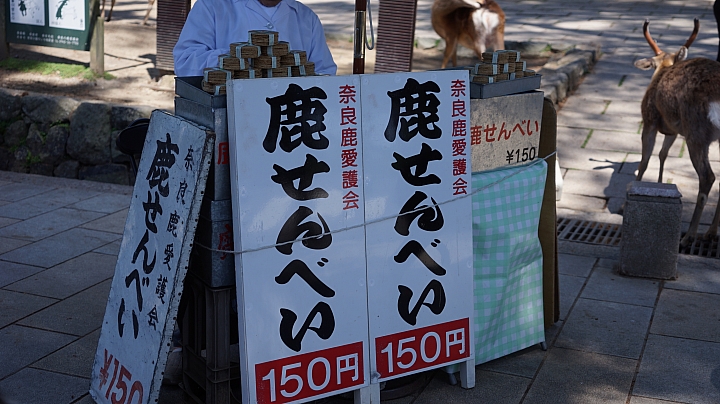 分享 大阪神戶京都奈良之旅與自助婚紗