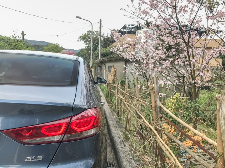 Elantra汽油菁英滿意開箱