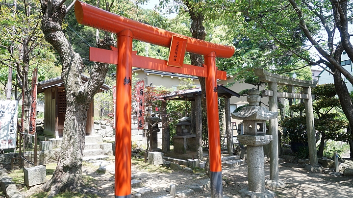 分享 大阪神戶京都奈良之旅與自助婚紗