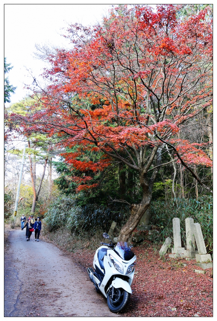 [SKYWAVE TYPE-S]日本関西ー紀伊半島TOURING(DAY-4.5) 和歌山―奈良―東京