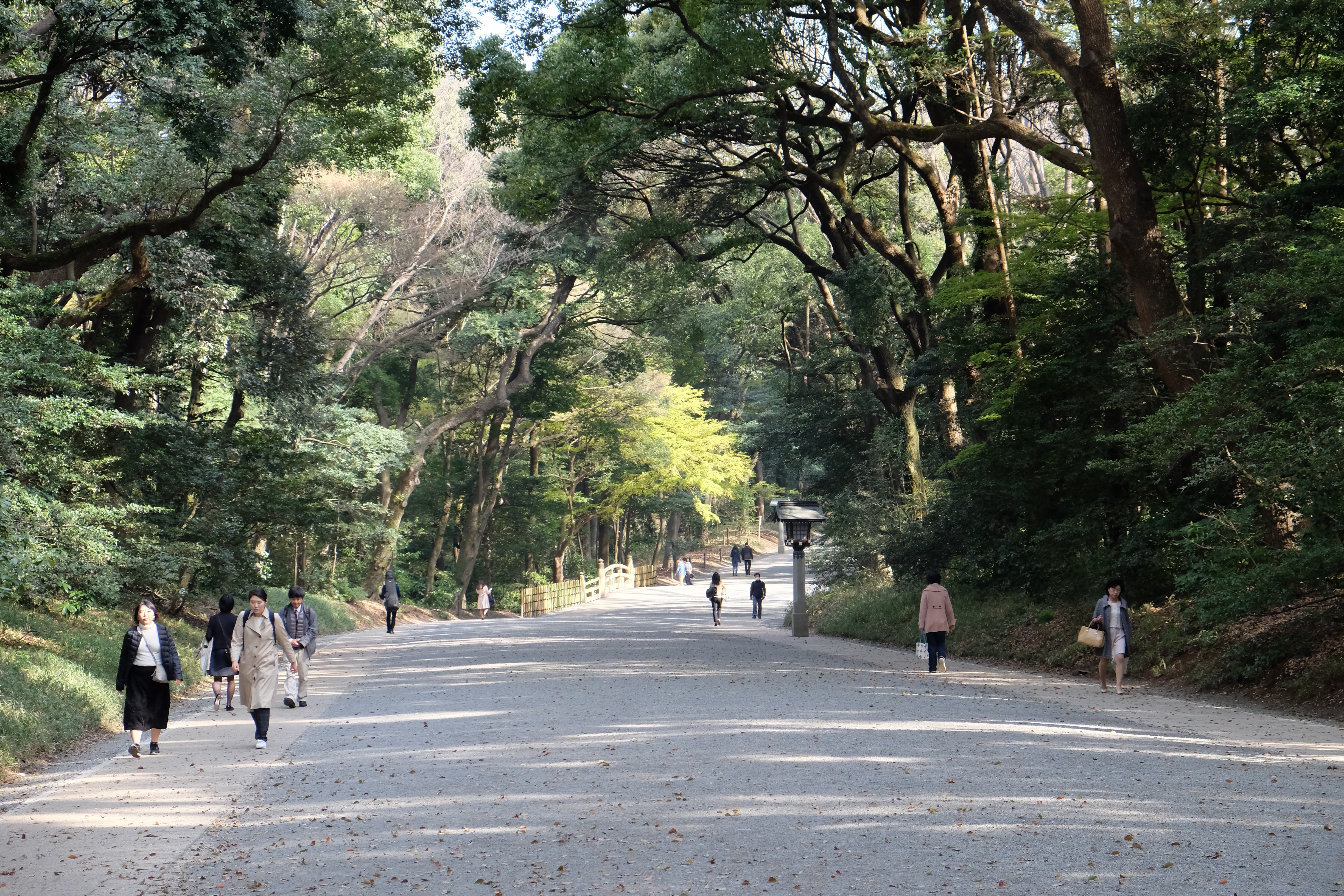 FUJIFILM X-T1+XF18-55  河口湖東京自助七日賞櫻之旅