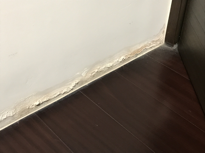 遠雄建設的新房，廁所磁磚吐黑，漏水造成壁癌