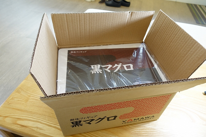 [開箱]Hobby Stock黑鮪魚模型