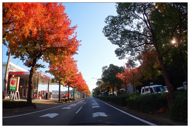 [SKYWAVE TYPE-S]日本関西ー紀伊半島TOURING(DAY-4.5) 和歌山―奈良―東京
