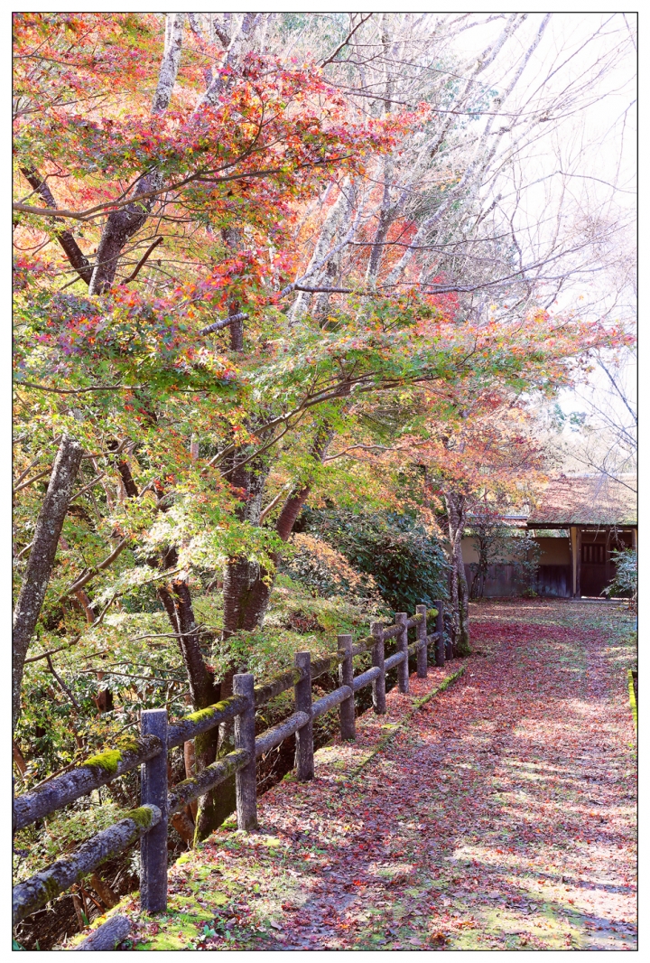 [SKYWAVE TYPE-S]日本関西ー紀伊半島TOURING(DAY-4.5) 和歌山―奈良―東京
