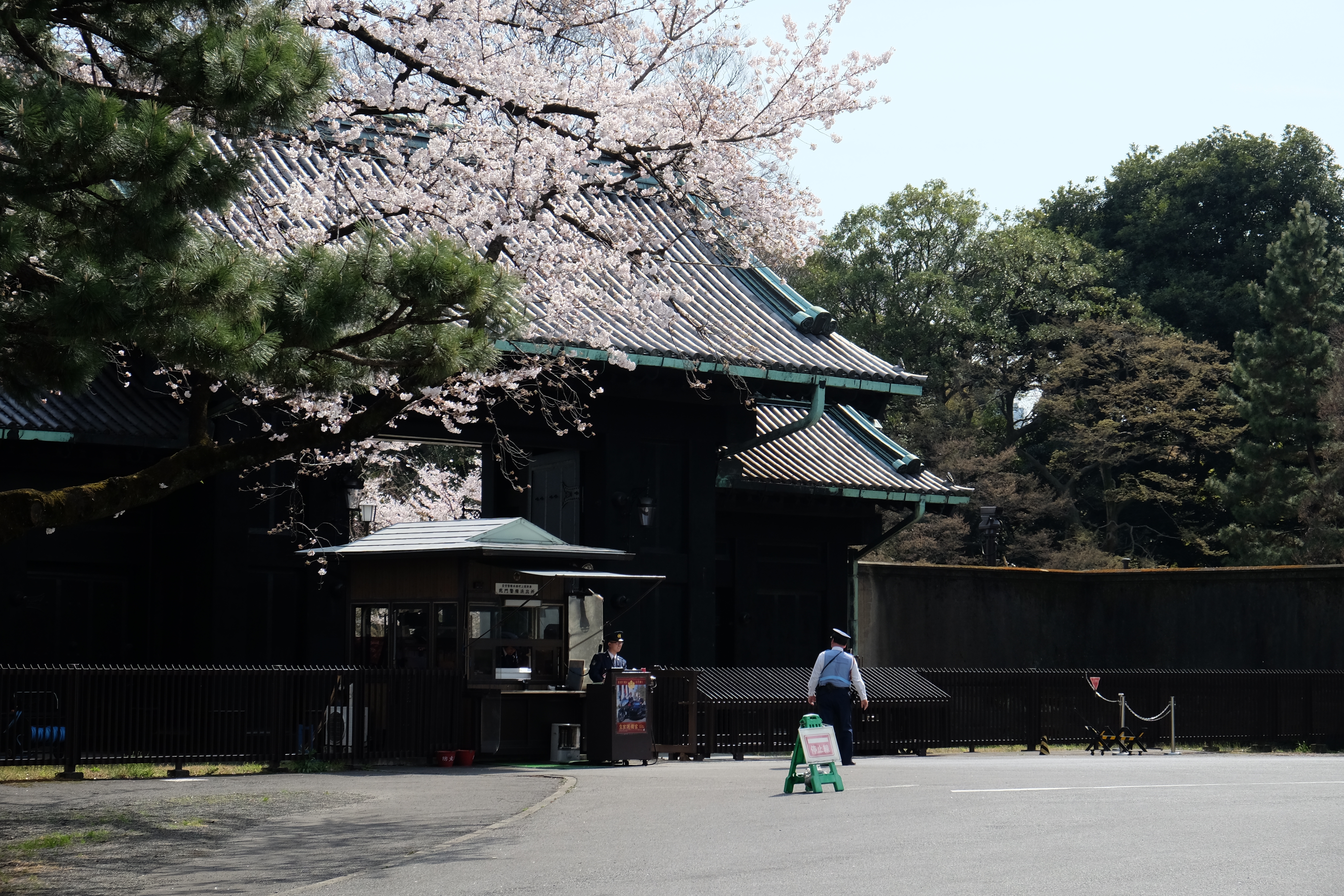 FUJIFILM X-T1+XF18-55  河口湖東京自助七日賞櫻之旅