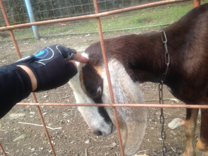 起點就是終點，終點就是起點，我騎自行車8天環台灣一圈了！(環島初體驗)