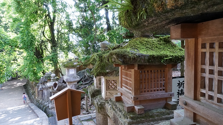 分享 大阪神戶京都奈良之旅與自助婚紗