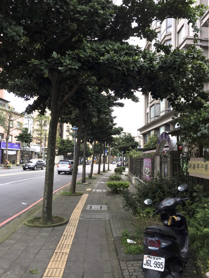 四錶怪客測試第三彈：Garmin Fenix 3 vs Forerunner 235 vs Bryton AMIS 630 vs Apple watch 2 軌跡圖測試