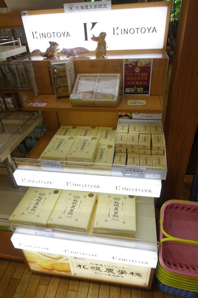 【2016北海道親子行】札幌市區景點。漫步在夏日綠意盎然的北海道大學校園