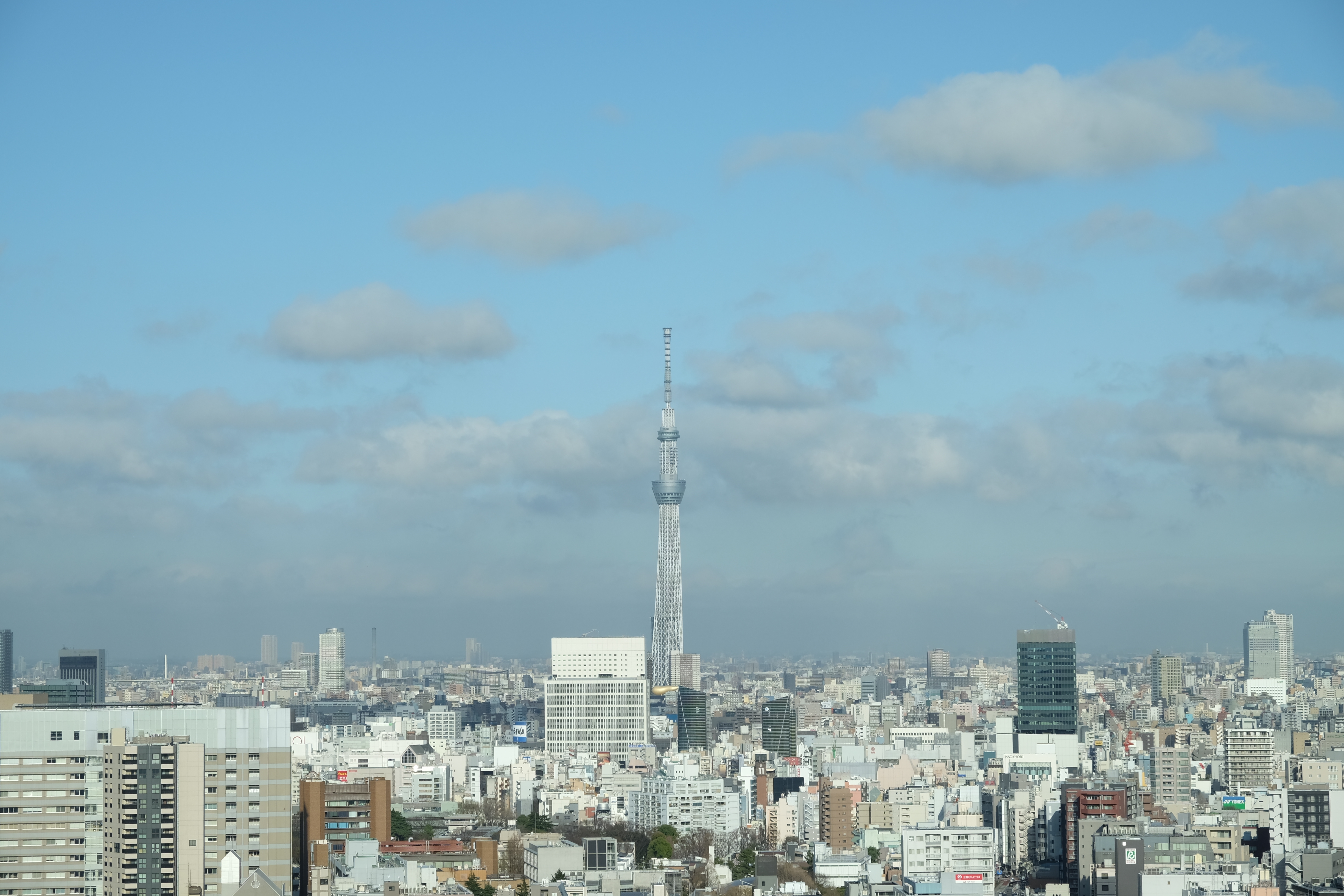 FUJIFILM X-T1+XF18-55  河口湖東京自助七日賞櫻之旅