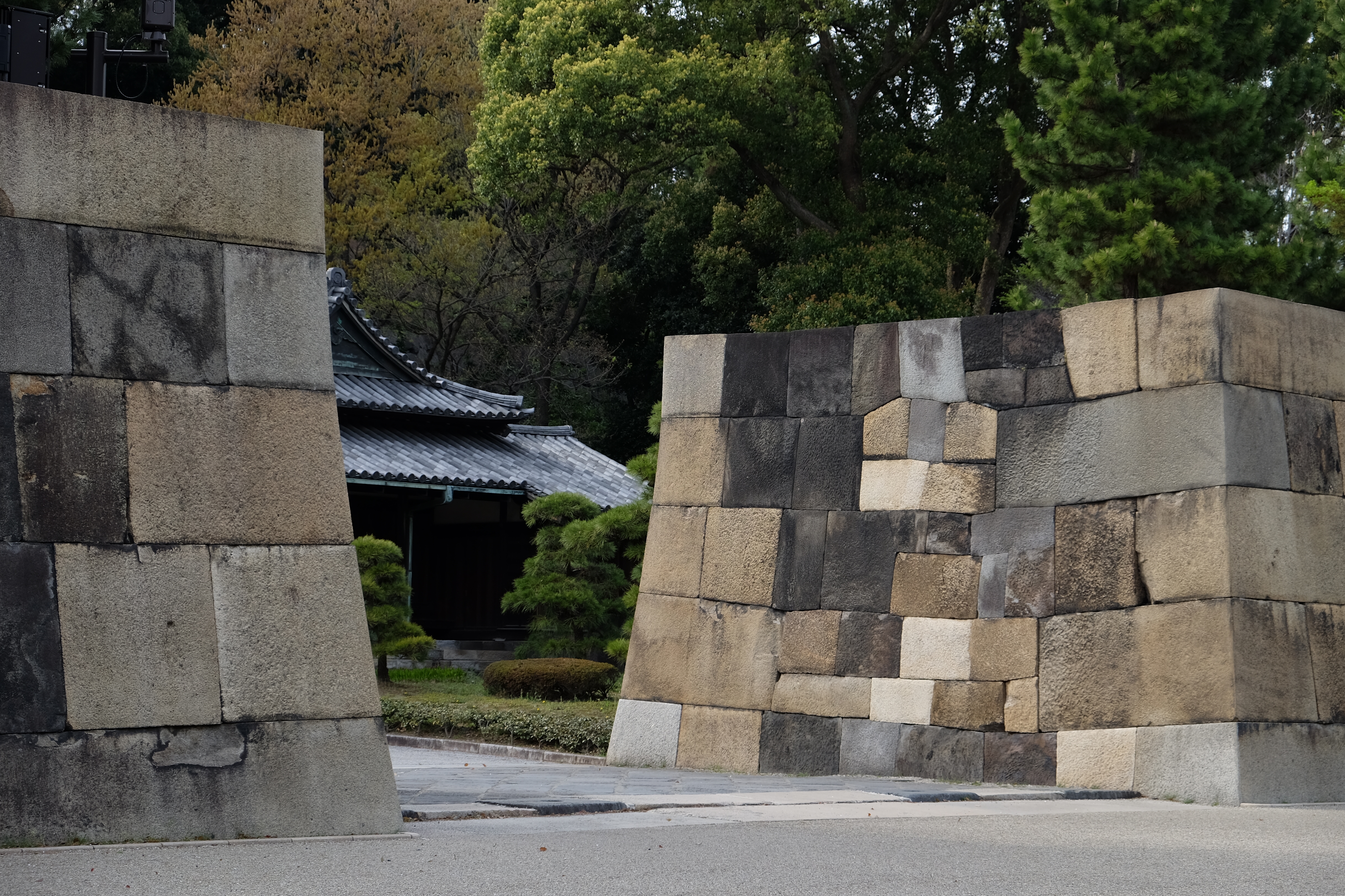 FUJIFILM X-T1+XF18-55  河口湖東京自助七日賞櫻之旅