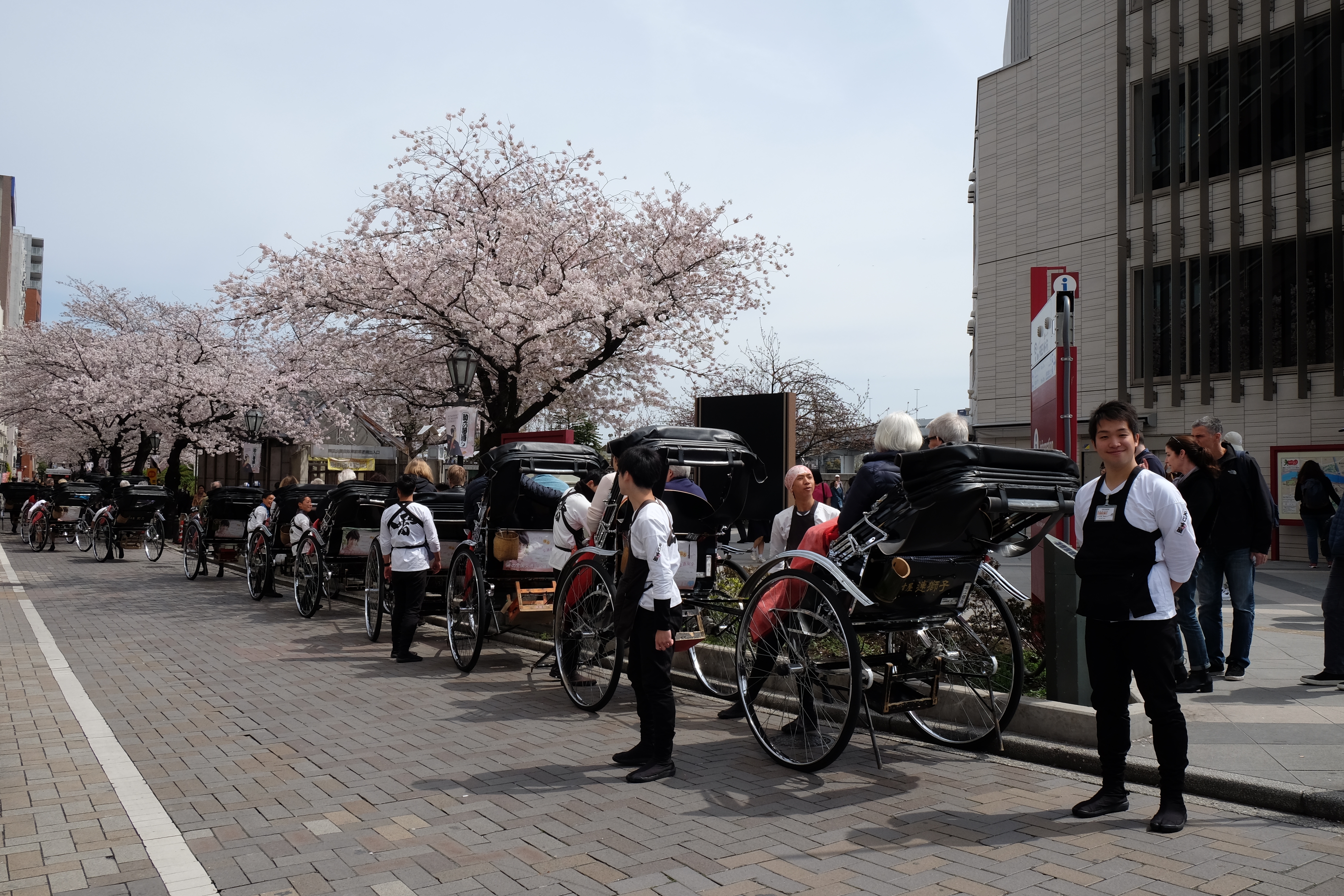 FUJIFILM X-T1+XF18-55  河口湖東京自助七日賞櫻之旅