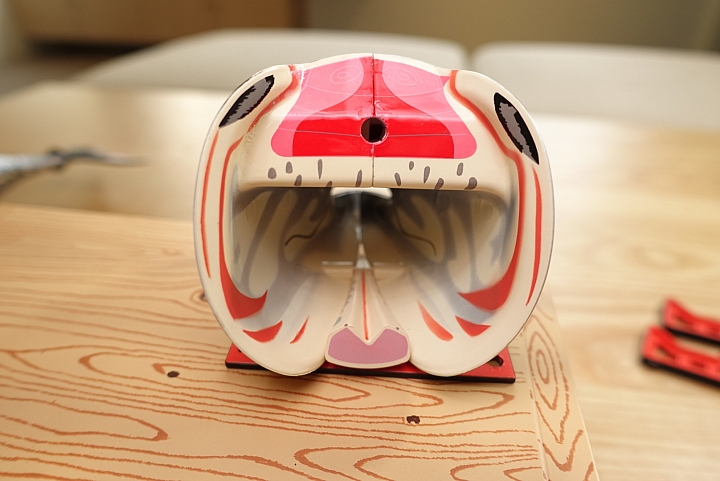 [開箱]Hobby Stock黑鮪魚模型