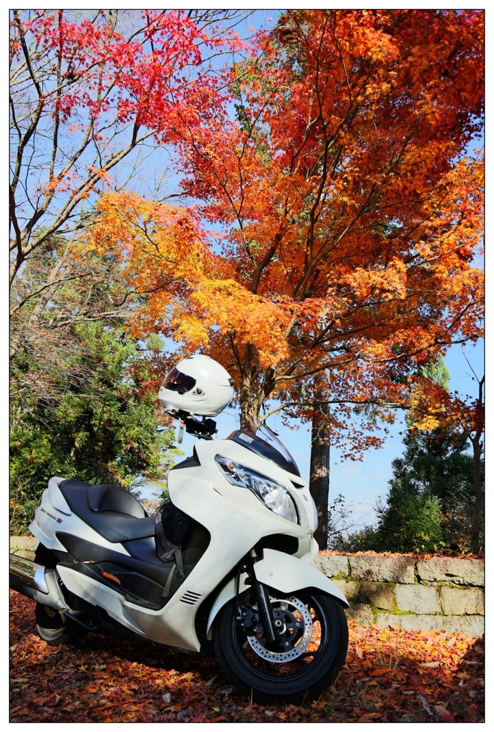 [SKYWAVE TYPE-S]日本関西ー紀伊半島TOURING(DAY-4.5) 和歌山―奈良―東京
