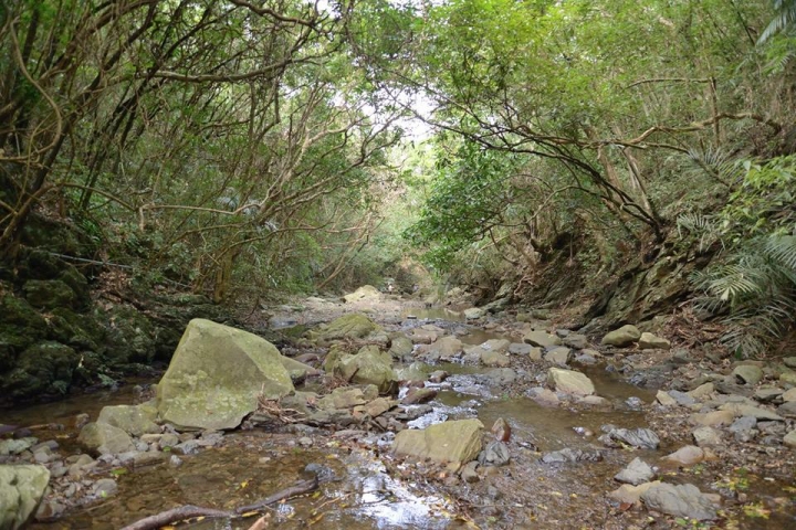 南田部落 台東秘境排灣族私房景點 夜觀野溪生態 無電無訊號深山野營 早餐日出無敵海景 攀樹體驗弓箭製作 南田海岸南田石