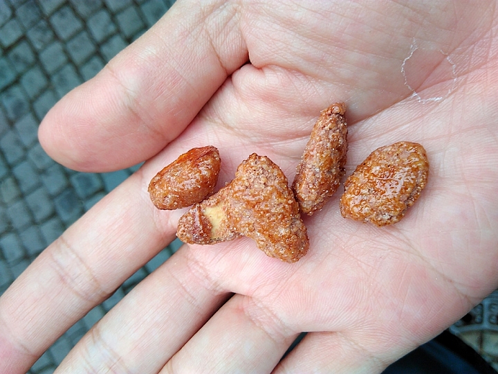 德奧出差隨筆Day1