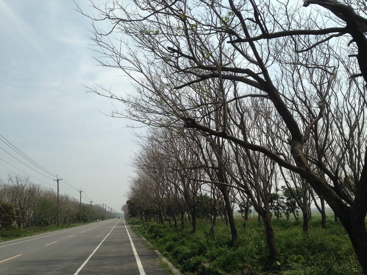 起點就是終點，終點就是起點，我騎自行車8天環台灣一圈了！(環島初體驗)