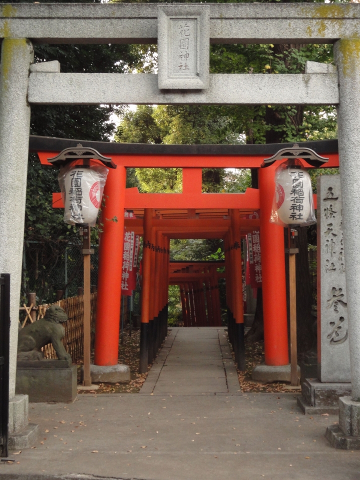 <日本>2009日本賞楓~自由之丘、花園稻荷神社、上野公園、兩國