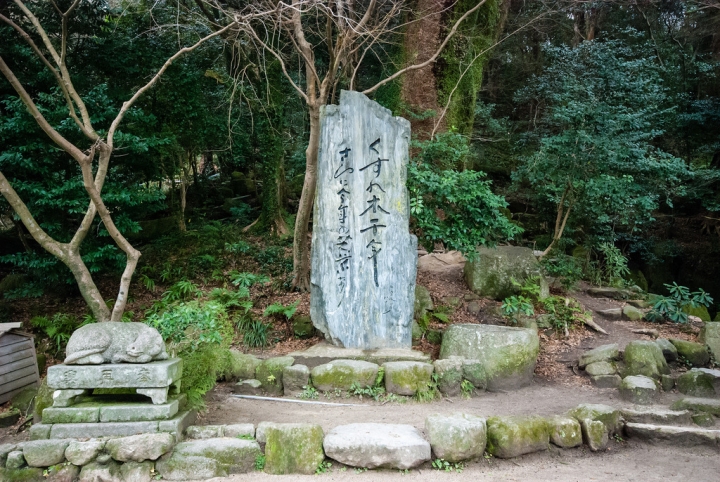 [日本北九州自助行]-福岡-太宰府天滿宮賞冬梅