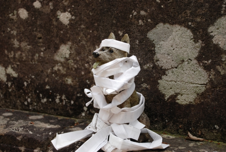 ＜日本＞2009日本賞楓～上野、山寺