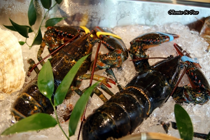 TK Seafood & Steak/980元起吃頂級牛排和季節海鮮套餐(華泰飯店關係企業)(捷運忠孝復興站)