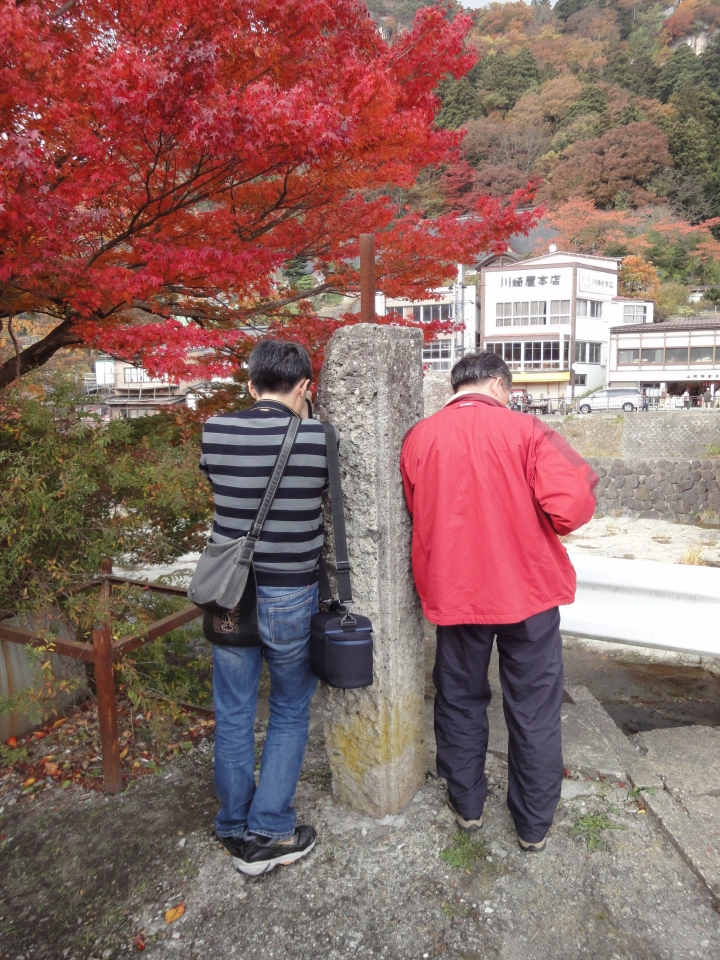 ＜日本＞2009日本賞楓～上野、山寺
