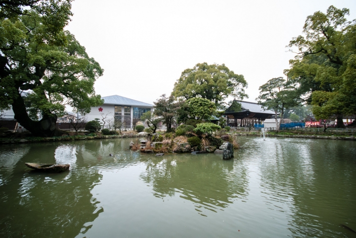[日本北九州自助行]-福岡-太宰府天滿宮賞冬梅