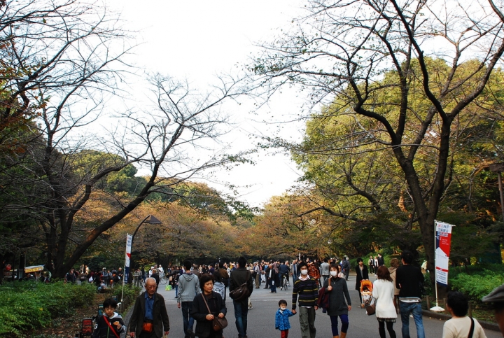 <日本>2009日本賞楓~自由之丘、花園稻荷神社、上野公園、兩國