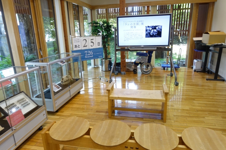 【2016北海道親子行】札幌市區景點。漫步在夏日綠意盎然的北海道大學校園