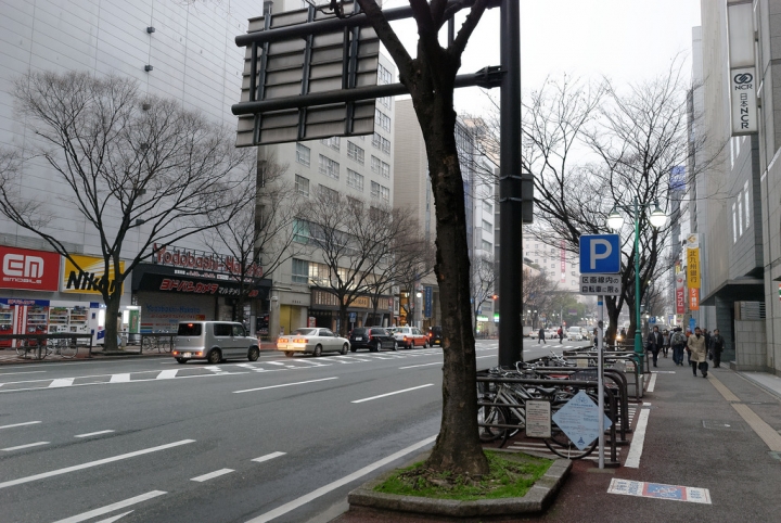 [日本北九州自助行]-福岡-太宰府天滿宮賞冬梅