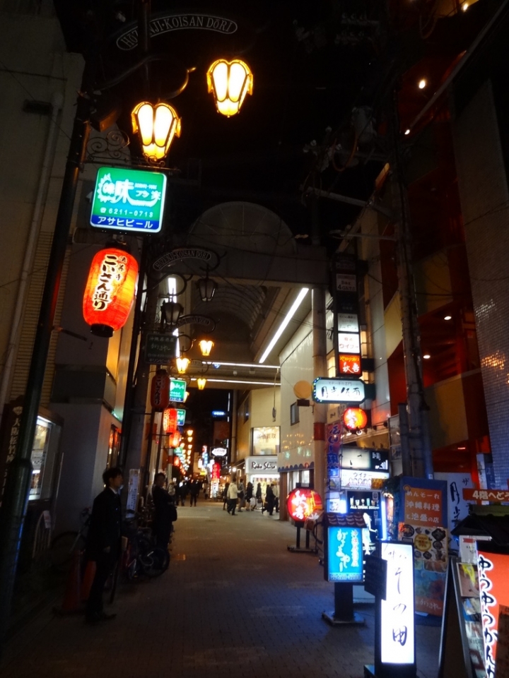 ＜日本＞2011自私之日本行~奈良、道頓堀
