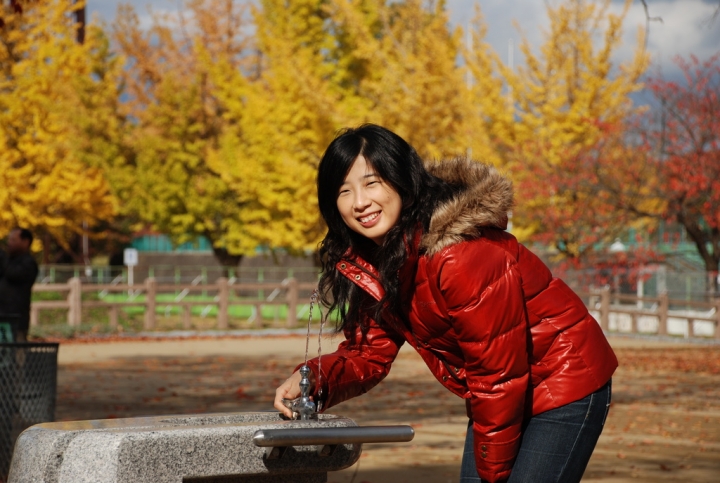 <日本>2009日本賞楓~面白山高原、霞城公園及仙台