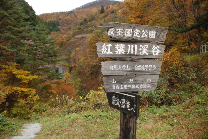 <日本>2009日本賞楓~面白山高原、霞城公園及仙台