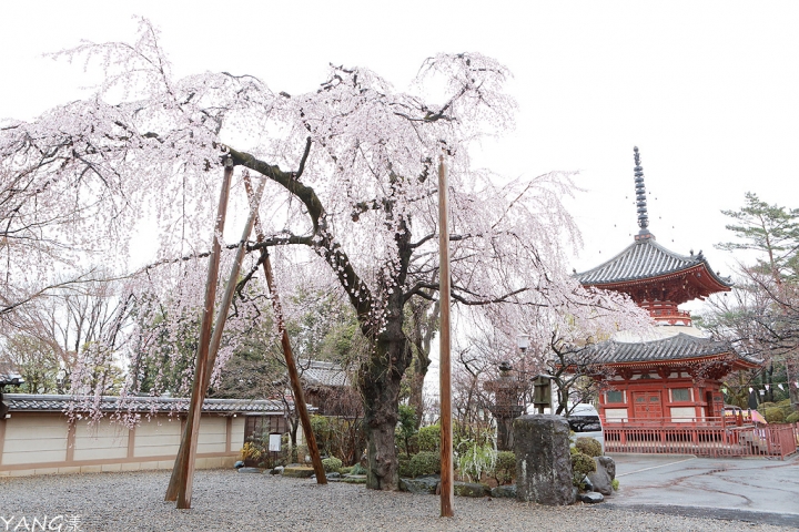 【日本】2017年9天11縣趴趴走之旅