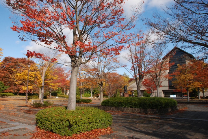 <日本>2009日本賞楓~面白山高原、霞城公園及仙台