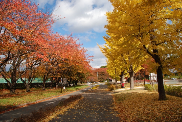 <日本>2009日本賞楓~面白山高原、霞城公園及仙台