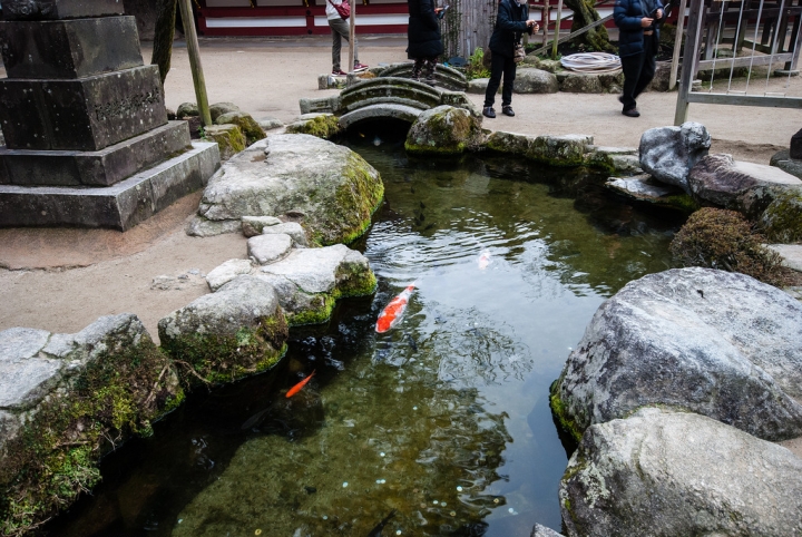 [日本北九州自助行]-福岡-太宰府天滿宮賞冬梅