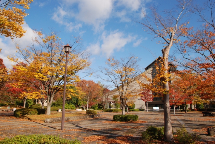<日本>2009日本賞楓~面白山高原、霞城公園及仙台