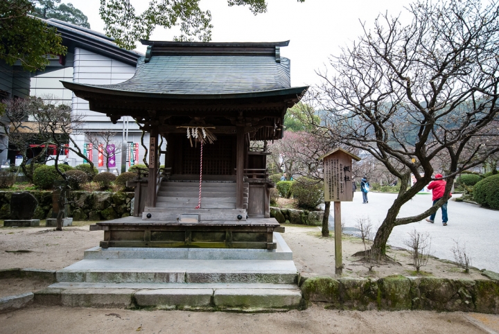 [日本北九州自助行]-福岡-太宰府天滿宮賞冬梅