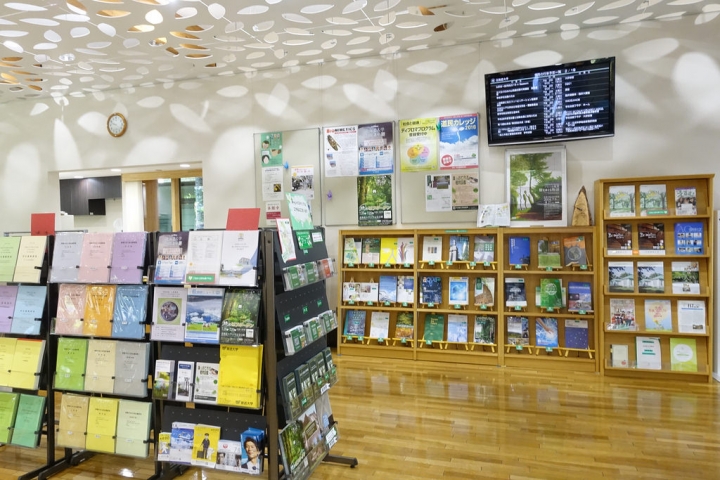 【2016北海道親子行】札幌市區景點。漫步在夏日綠意盎然的北海道大學校園