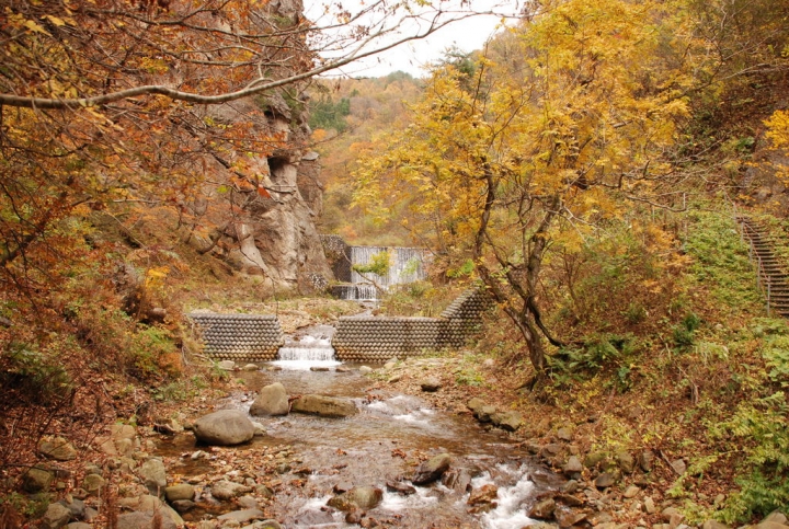 <日本>2009日本賞楓~面白山高原、霞城公園及仙台