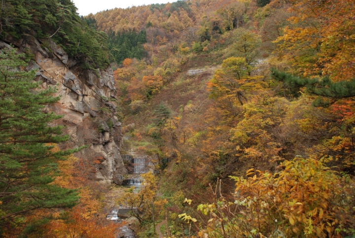 <日本>2009日本賞楓~面白山高原、霞城公園及仙台