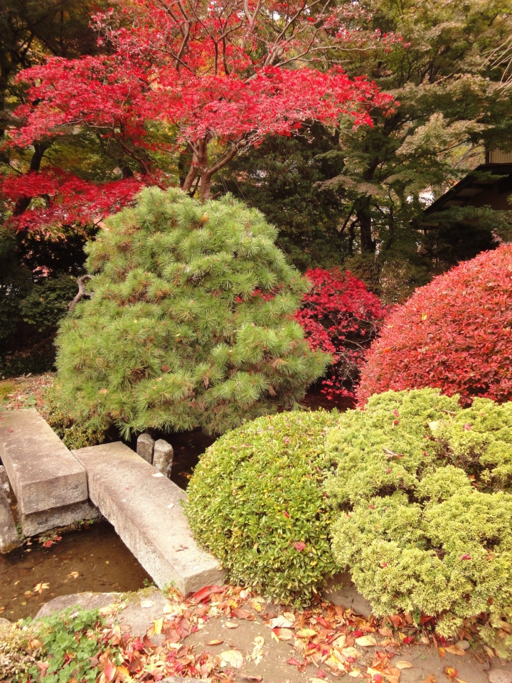 ＜日本＞2009日本賞楓～上野、山寺