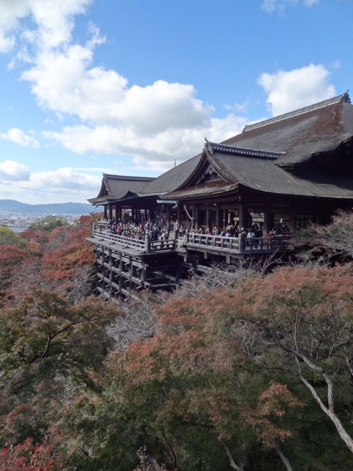 <日本>2011自私之日本行~清水寺岡本和服體驗、八坂神社、花見小路