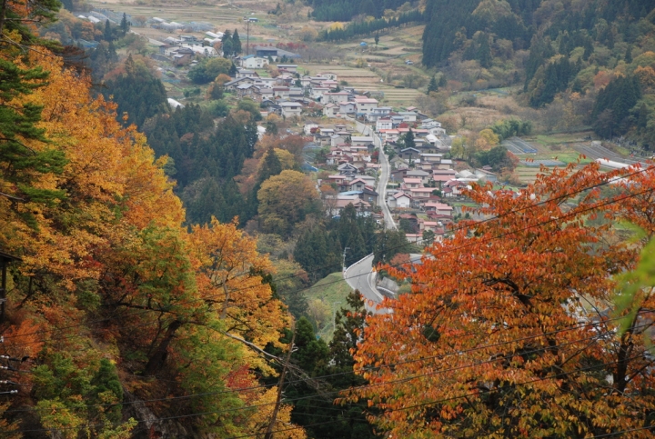 ＜日本＞2009日本賞楓～上野、山寺