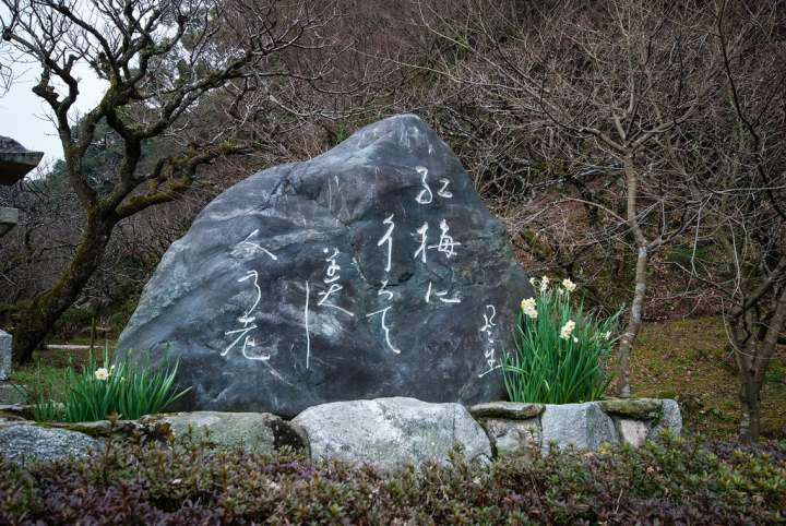 [日本北九州自助行]-福岡-太宰府天滿宮賞冬梅