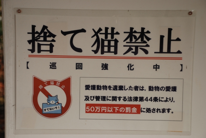 <日本>2009日本賞楓~面白山高原、霞城公園及仙台