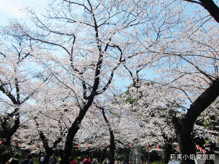 [美食] 日本 2017年賞櫻之東京上野恩賜公園欣賞櫻花飄雪 (上野站)