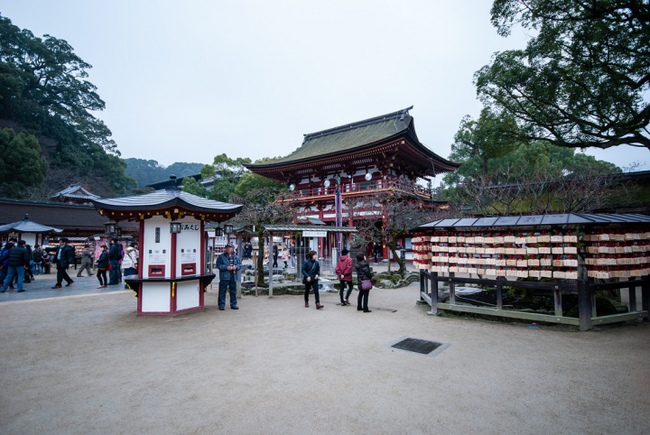 [日本北九州自助行]-福岡-太宰府天滿宮賞冬梅